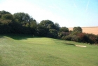 Came Down Golf Club