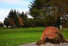 Portlaoise Golf Club