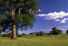 Glenbervie Golf Club