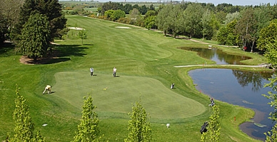 Open Golf Competitions At Monkstown Golf Club