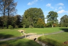 Lisburn Golf Club