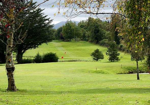 Open Golf Competitions At Ballykisteen Golf Club