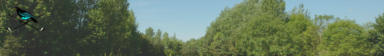 Rookery Park Golf Club