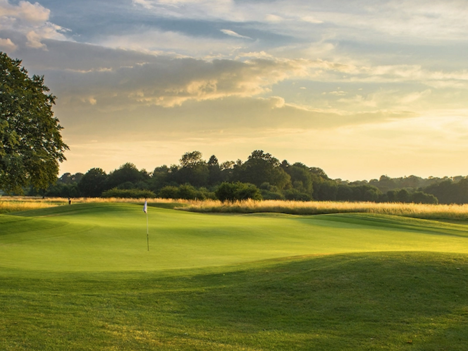 distrubition-orida Orida Golf Club