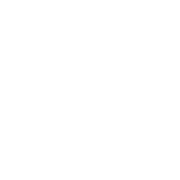 Levin logo